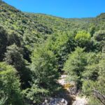 Shakty Mooni Yoga Retraite Yoga Méditation Cévennes