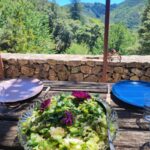 Shakty Mooni Yoga Retraite Yoga Méditation Cévennes