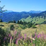 Shakty Mooni Yoga Retraite Yoga Méditation Haute-Savoie