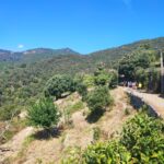 Shakty Mooni Yoga Retraite Yoga Méditation Cévennes