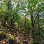 Shakty Mooni Yoga Retraite Yoga Méditation Cévennes