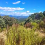 Shakty Mooni Yoga Retraite Yoga Méditation Cévennes